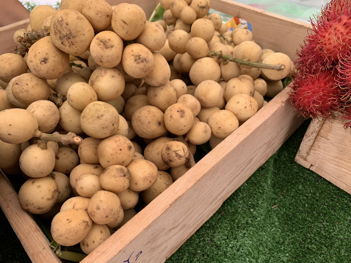 3 จังหวัด เข้าร่วมออกบูธ ที่งานอาคเนย์ Green Mart