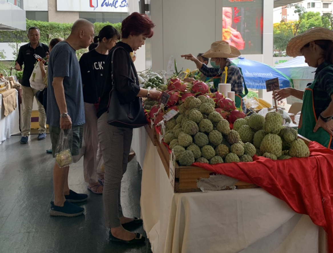 3 จังหวัด เข้าร่วมออกบูธ ที่งานอาคเนย์ Green Mart