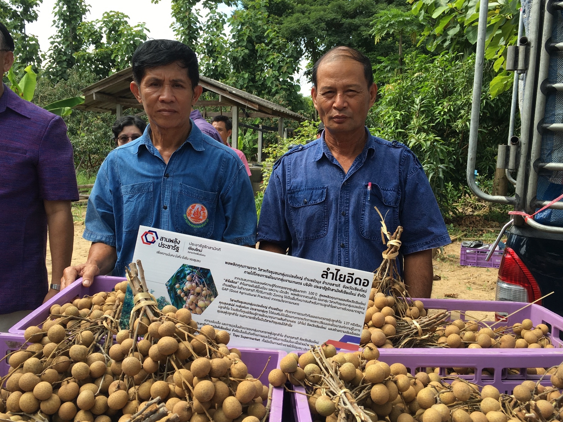 “บริษัท ประชารัฐรักสามัคคีเชียงใหม่ จำกัด” จับมือภาครัฐ – เอกชน – ประชาสังคม ผลักดัน “ลำไย วิสาหกิจชุมชนกลุ่มแปลงใหญ่ ตำบลขัวมุง” กว่า 100 ตัน ส่งตรงจากสวนสู่ซูเปอร์มาร์เก็ตอันดับ 1