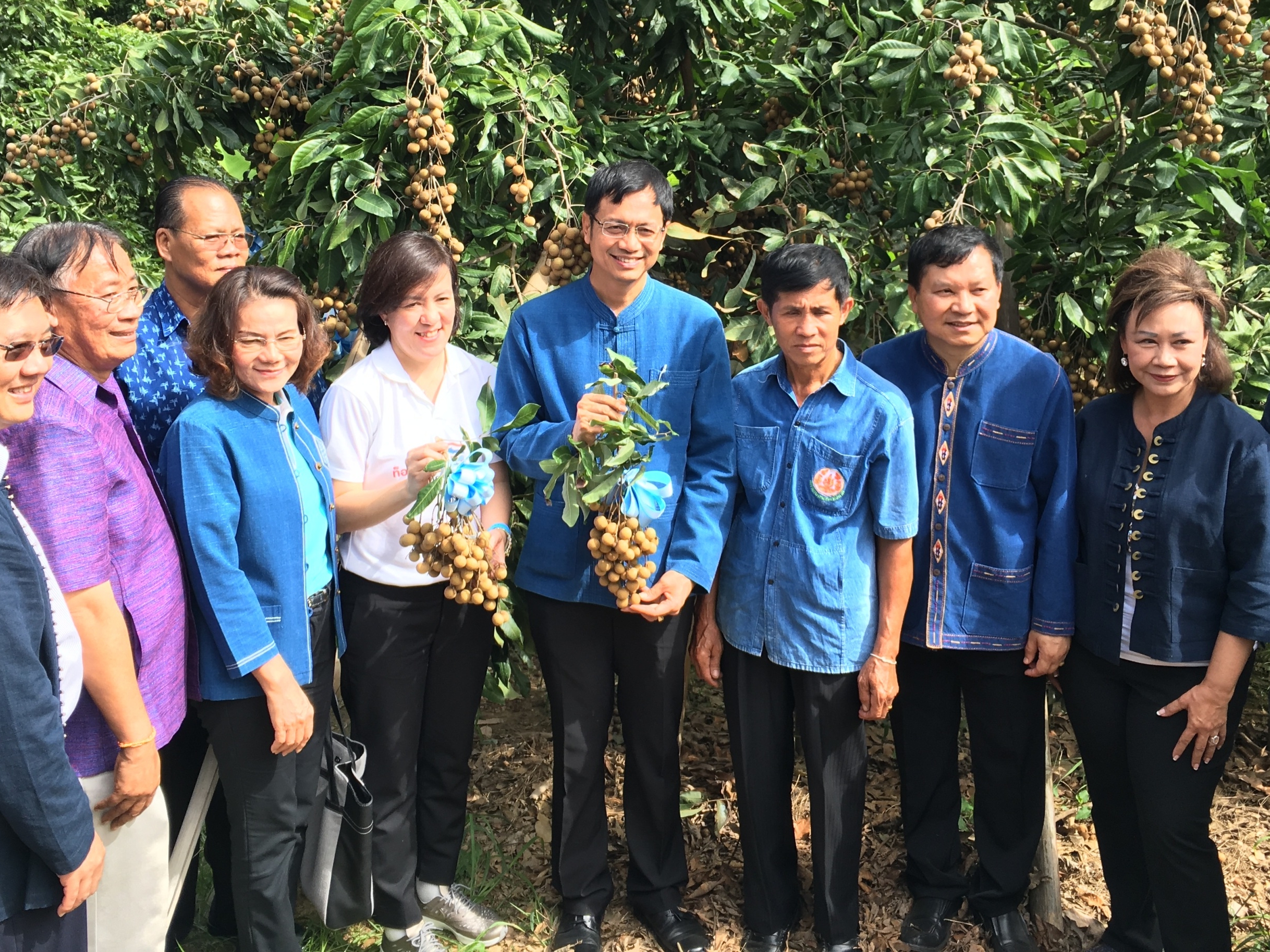 “บริษัท ประชารัฐรักสามัคคีเชียงใหม่ จำกัด” จับมือภาครัฐ – เอกชน – ประชาสังคม ผลักดัน “ลำไย วิสาหกิจชุมชนกลุ่มแปลงใหญ่ ตำบลขัวมุง” กว่า 100 ตัน ส่งตรงจากสวนสู่ซูเปอร์มาร์เก็ตอันดับ 1