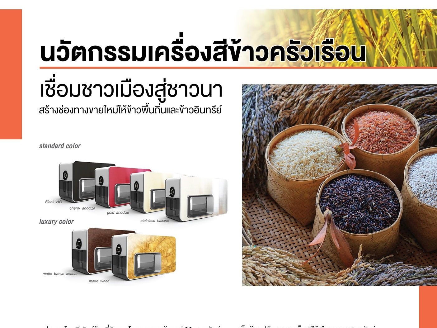 โครงการข้าว