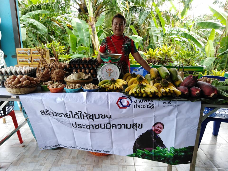 ผลตรวจวิเคราะห์สารปนเปื้อนในผัก บริษัท ประชารัฐรักสามัคคีกระบี่ (วิสาหกิจเพื่อสังคม) จำกัด