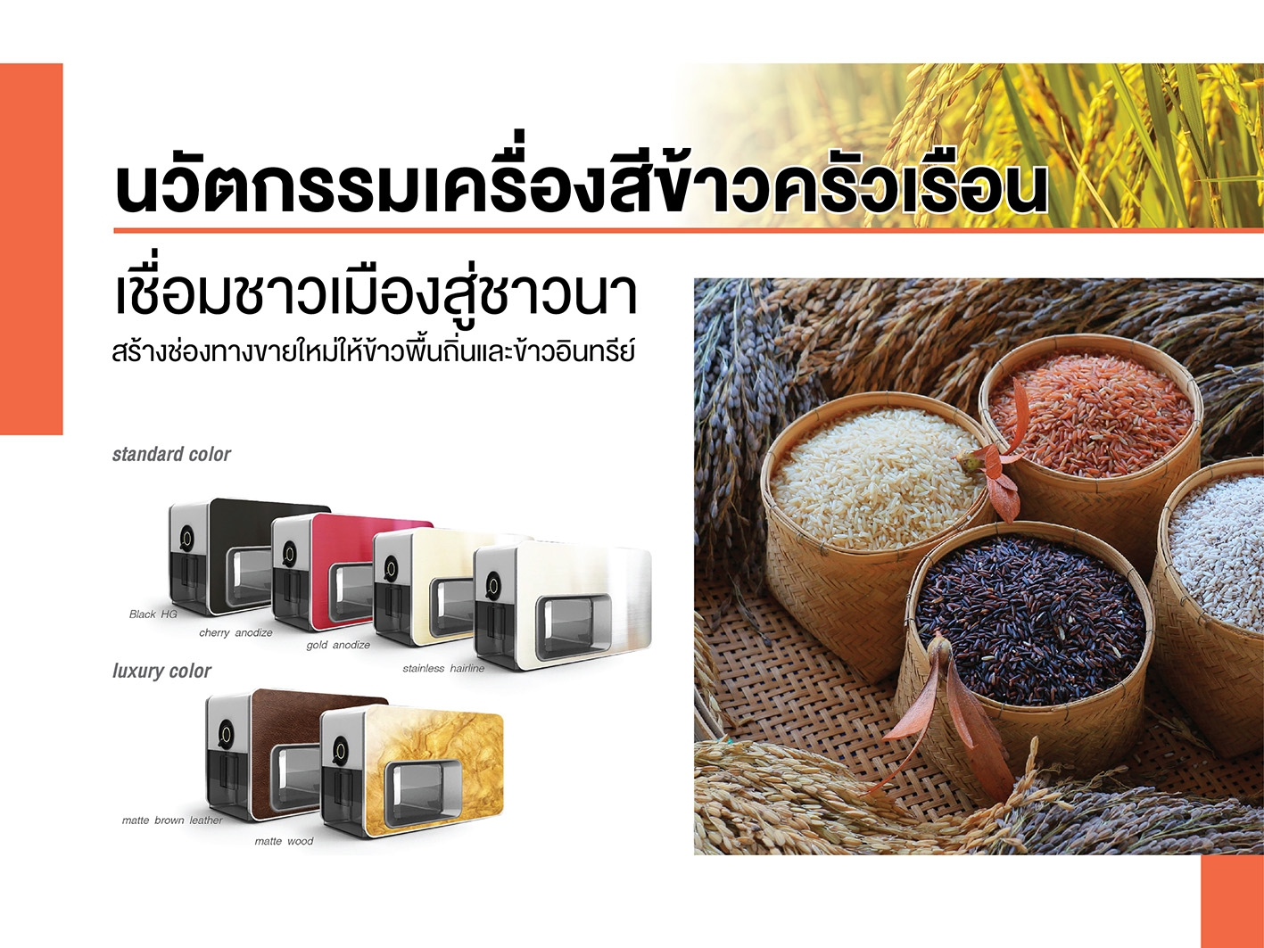 โครงการข้าว